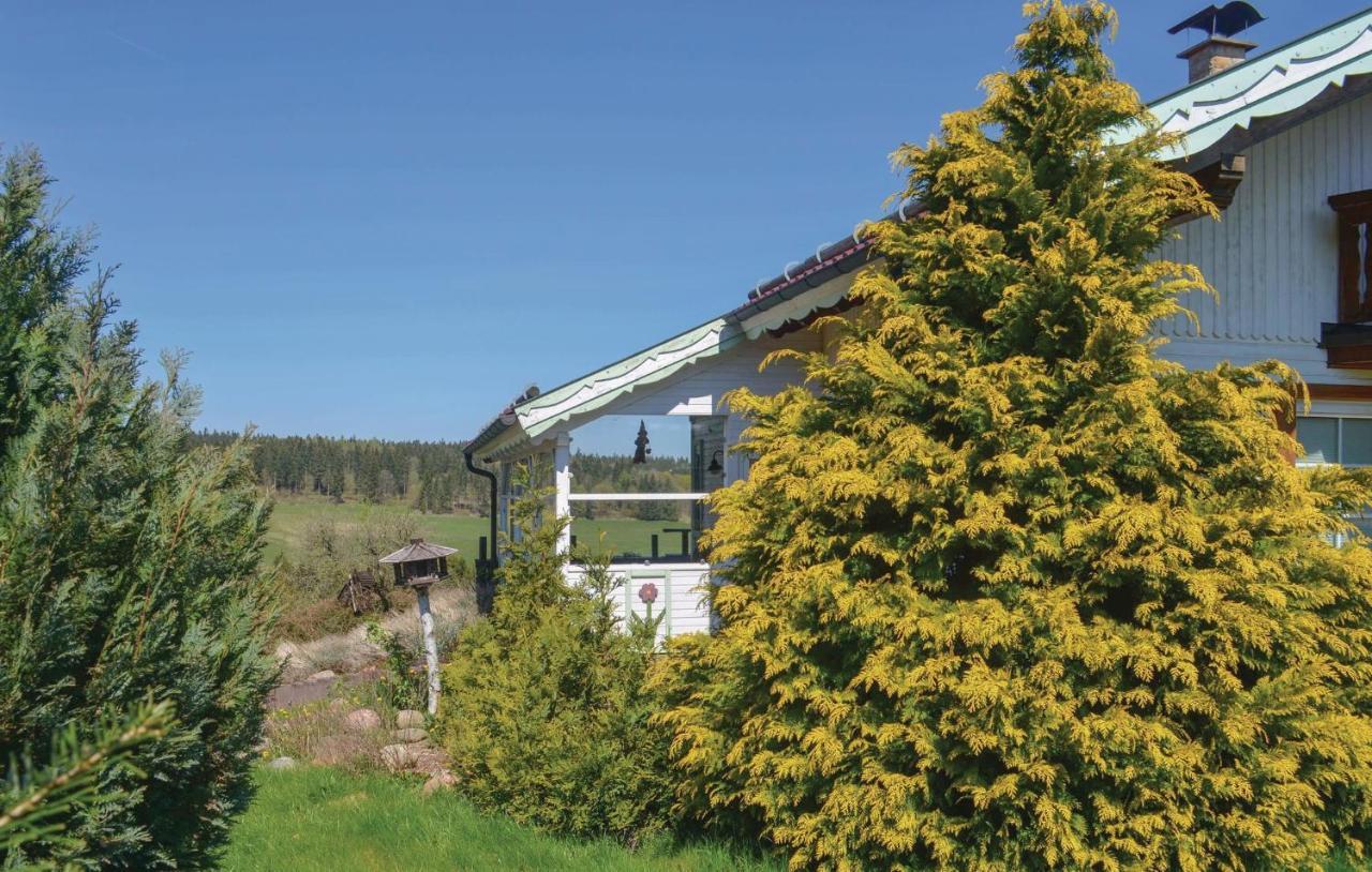 Galerie Haus Villa Braunlage Exterior photo